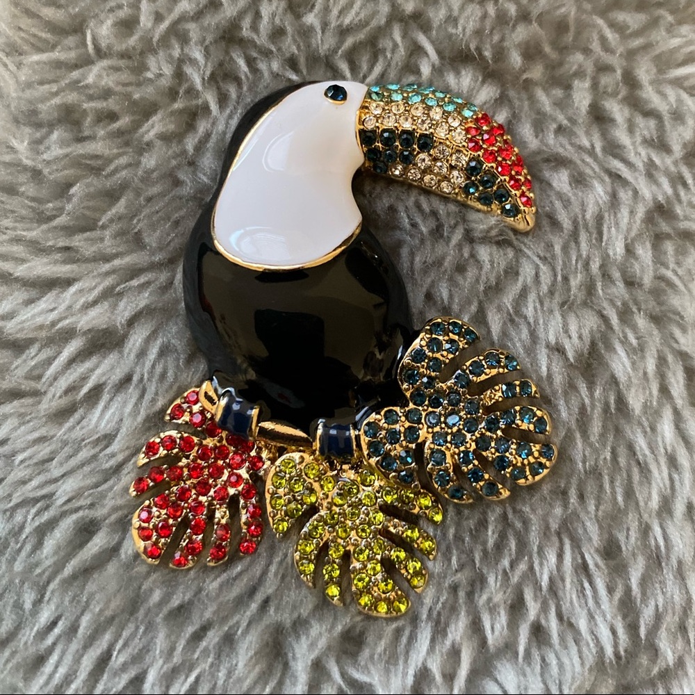 beautiful Tucan brooch